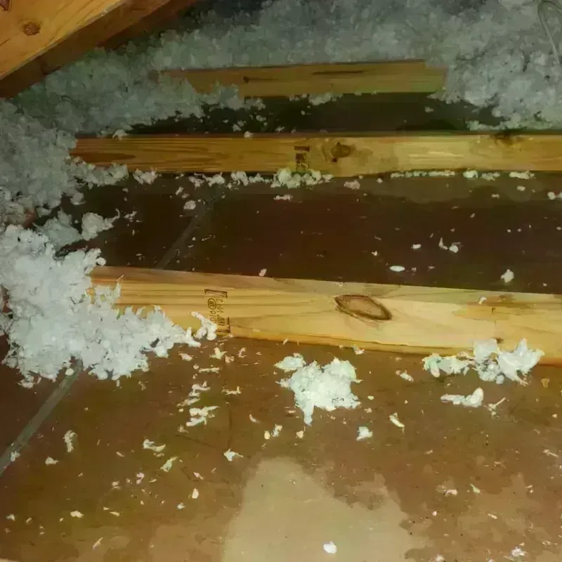 Attic Water Damage in Greenville, GA