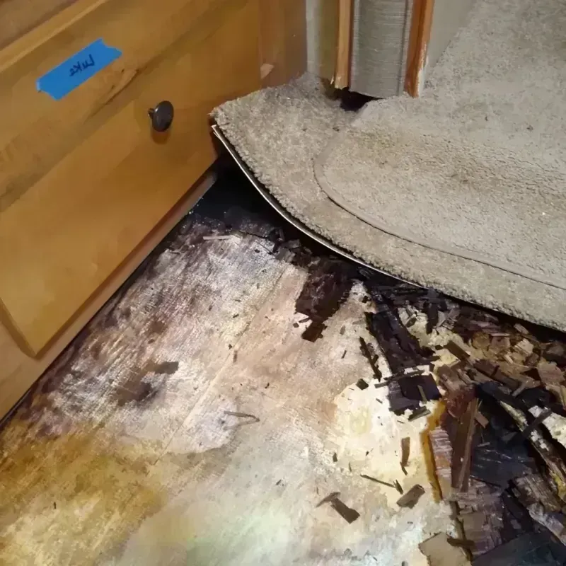 Best Wood Floor Water Damage Service in Greenville, GA